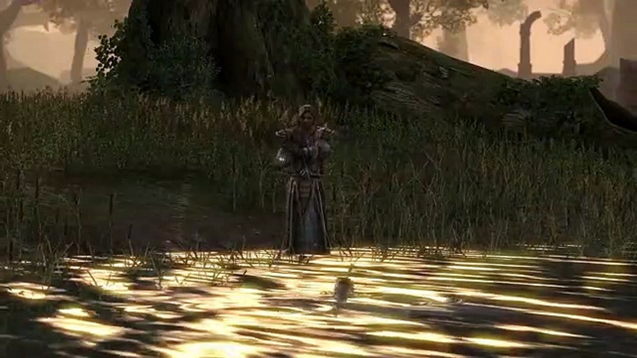 The Elder Scrolls Online - Recursos y exploración