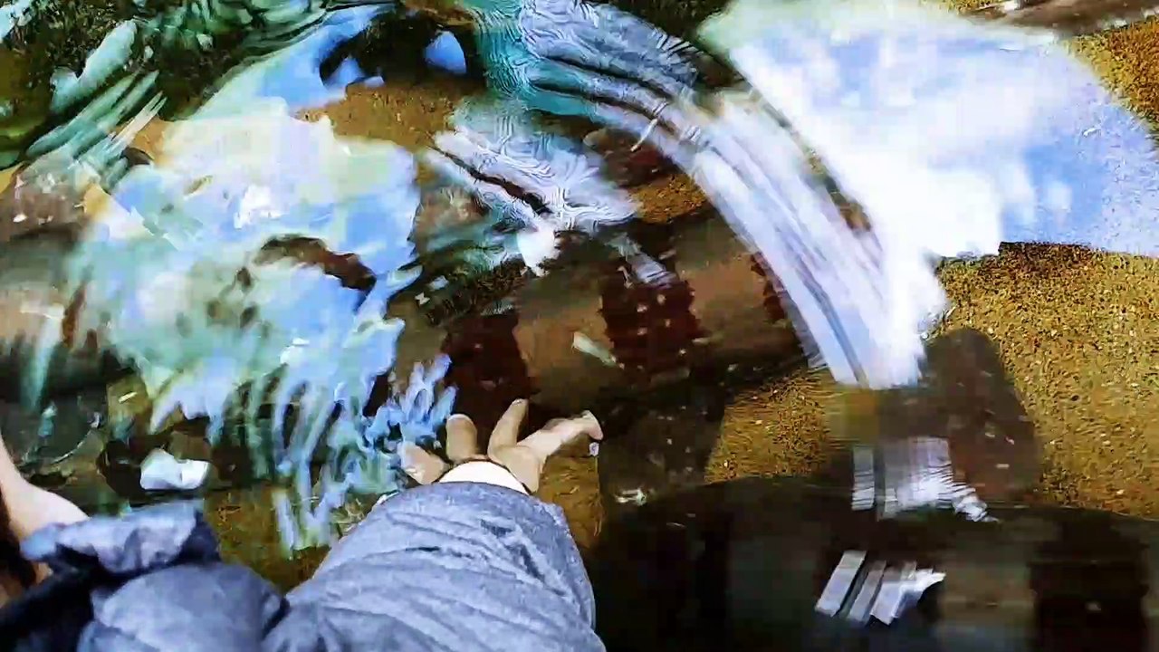 SeaWorld 2019