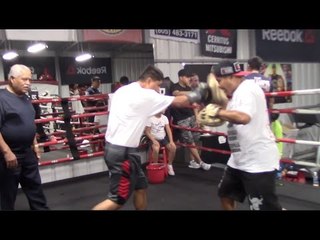 BROTHERLY LOVE - MIKEY GARCIA & ROBERT GARCIA REALLY GO UP THE GEARS WITH RAPID PAD SESSION WORK