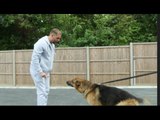 BILLY JOE SAUNDERS THREATENS TO LET HIS DOG LOOSE ON KUGAN CASSIUS (WHO IS HIDING IN HIS CAR)