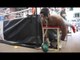 BUILDING THE MONSTER!! - ANTHONY JOSHUA MUSCLE NECK WORKOUT / iFL TV