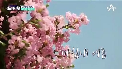 진안출장안마 -100%ョ안전Ø7Øw4949w6356[카톡GM1212]진안전지역출장마사지샵진안출장hk안마co진안출장마사지황형ŧŋŉ일본인출장출장오피