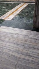 Delhi ki barish - a secret garden!