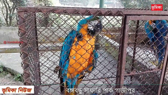 বঙ্গবন্ধু সাফারি পার্ক Bongobondhu safari park Gazipur Safari Park Gazipur