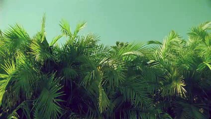 영도출장안마 {Ø1Øx2703x7745}【카톡VVV75】영도출장샵'예약'영도출장마사지 영도여대생출장 영도여고생출장 영도콜걸샵