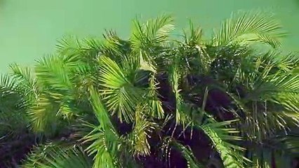 수성출장안마 {Ø1Øx2703x7745}【카톡VVV75】수성출장샵'예약'수성출장마사지 수성여대생출장 수성여고생출장 수성콜걸샵