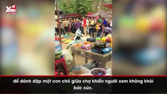 Đám thanh niên chọi đá, đánh chết chó mẹ mới đẻ gây bức xúc