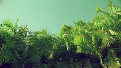 처인출장안마 {Ø1Øx2703x7745}【카톡VVV75】처인출장샵'예약'처인출장마사지 처인여대생출장 처인여고생출장 처인콜걸샵