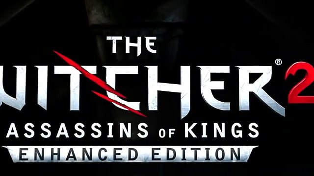 The Witcher 2: Assassins of Kings - Dark Edition