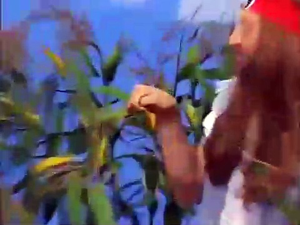 Wonder Showzen S03 E27