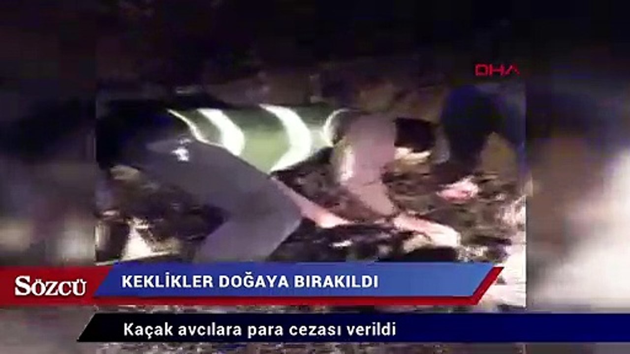 Elazığ’da kaçak avlanan keklikler doğaya bırakıldı