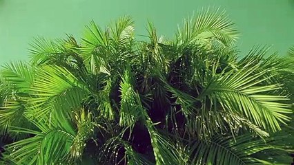 횡성출장안마 {Ø1Øx2703x7745}【카톡VVV75】횡성출장샵'예약'횡성출장마사지 횡성여대생출장 횡성여고생출장 횡성콜걸샵