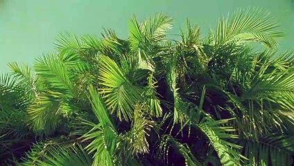 제천출장안마 {Ø1Øx2703x7745}【카톡VVV75】제천출장샵'예약'제천출장마사지 제천여대생출장 제천여고생출장 제천콜걸샵