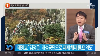 태영호 “핵 포기 불가능한 체제”