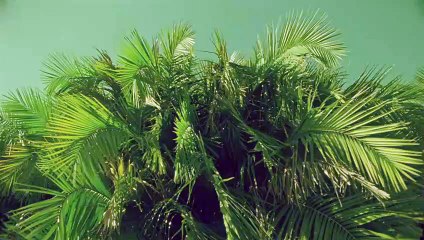 순창출장안마 {Ø1Øx2703x7745}【카톡VVV75】순창출장샵'예약'순창출장마사지 순창여대생출장 순창여고생출장 순창콜걸샵