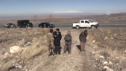 Üniversiteye Kurtların İnmemesi İçin Ağrı Dağı'na Yem Bırakıldı