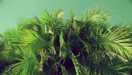 구미출장안마 {Ø1Øx2703x7745}【카톡VVV75】구미출장샵'예약'구미출장마사지 구미여대생출장 구미여고생출장 구미콜걸샵