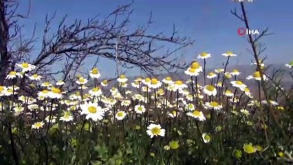 Sarıgöl'de hava sıcaklığı yaz aylarını aratmadı