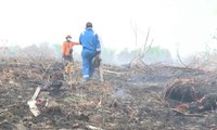 Pemkot Dumai Tetapkan Status Siaga Darurat Kebakaran Lahan & Hutan