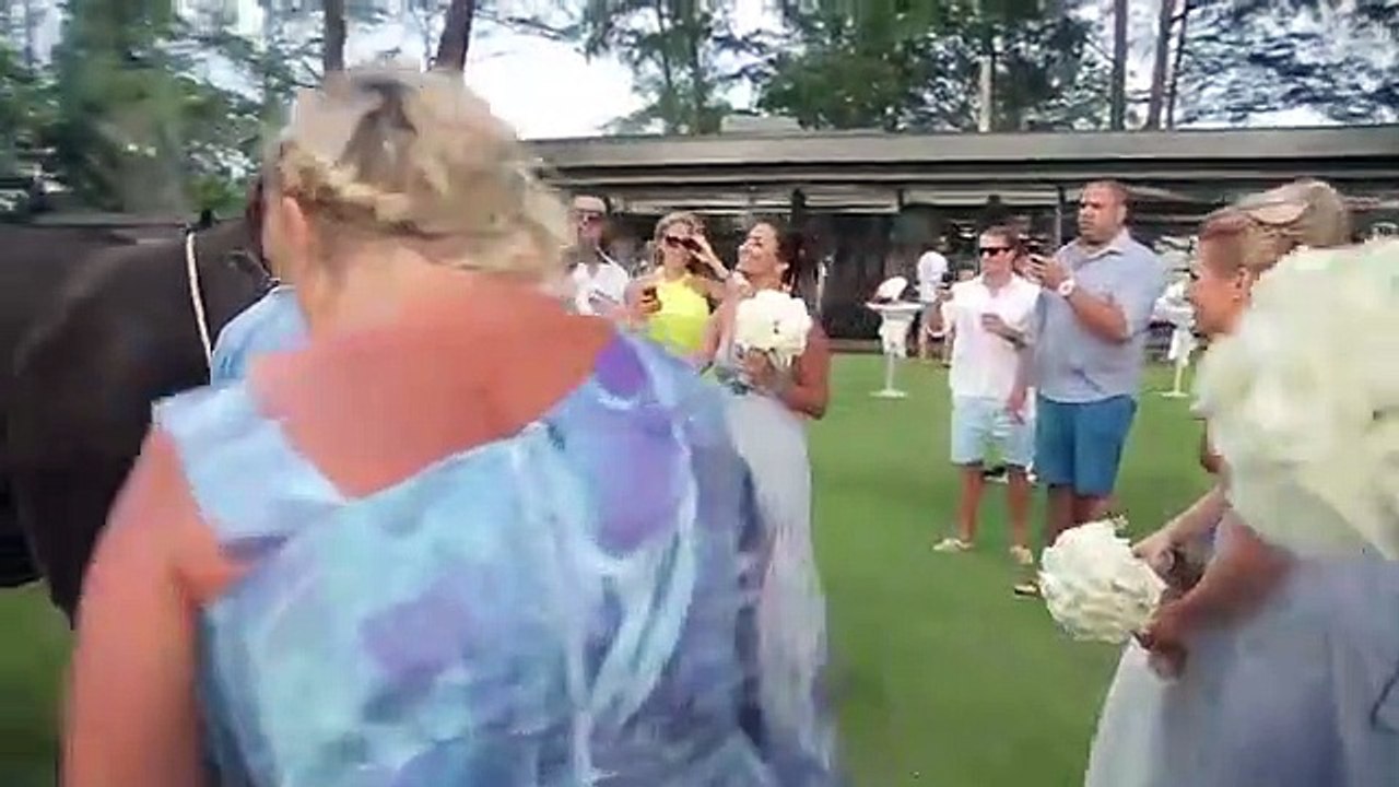 Elephant comedy video