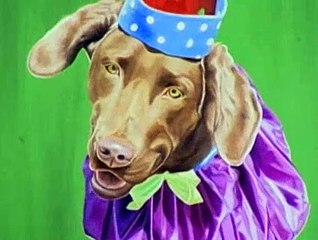 Dog Whisperer S01E04 Josh and Boomer