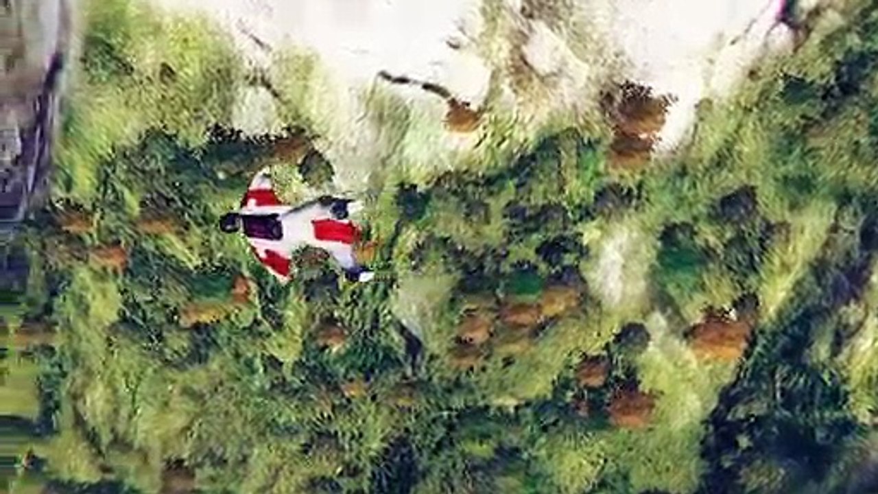 Skydive: Proximity Flight - Debut