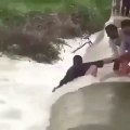 Des hommes courageux prennent tout les risques pour sauver un chien piégé dans les inondations !