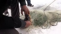 Buz tutan baraj balıkçılara ekmek kapısı oldu