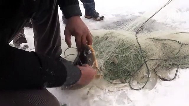 Buz tutan baraj balıkçılara ekmek kapısı oldu