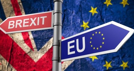 İngiltere'de Üç Milletvekili Brexit Sürecinin Kötü Yönetilmesi Sebebiyle İstifa Etti