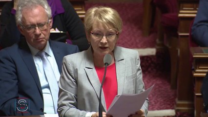 Nelly Tocqueville : question d'actualité du 19 février 2019