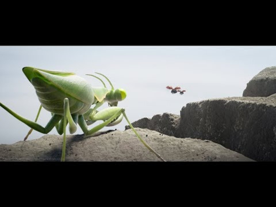 OFFICIAL TRAILER OF THE NEW FILM !