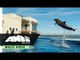 Best Friend - Feauturing Lola Sultan & Madison Mosley | From Bernie the Dolphin
