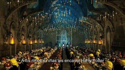 LEGO Harry Potter: Años 1-4 - Desarrollo (2)