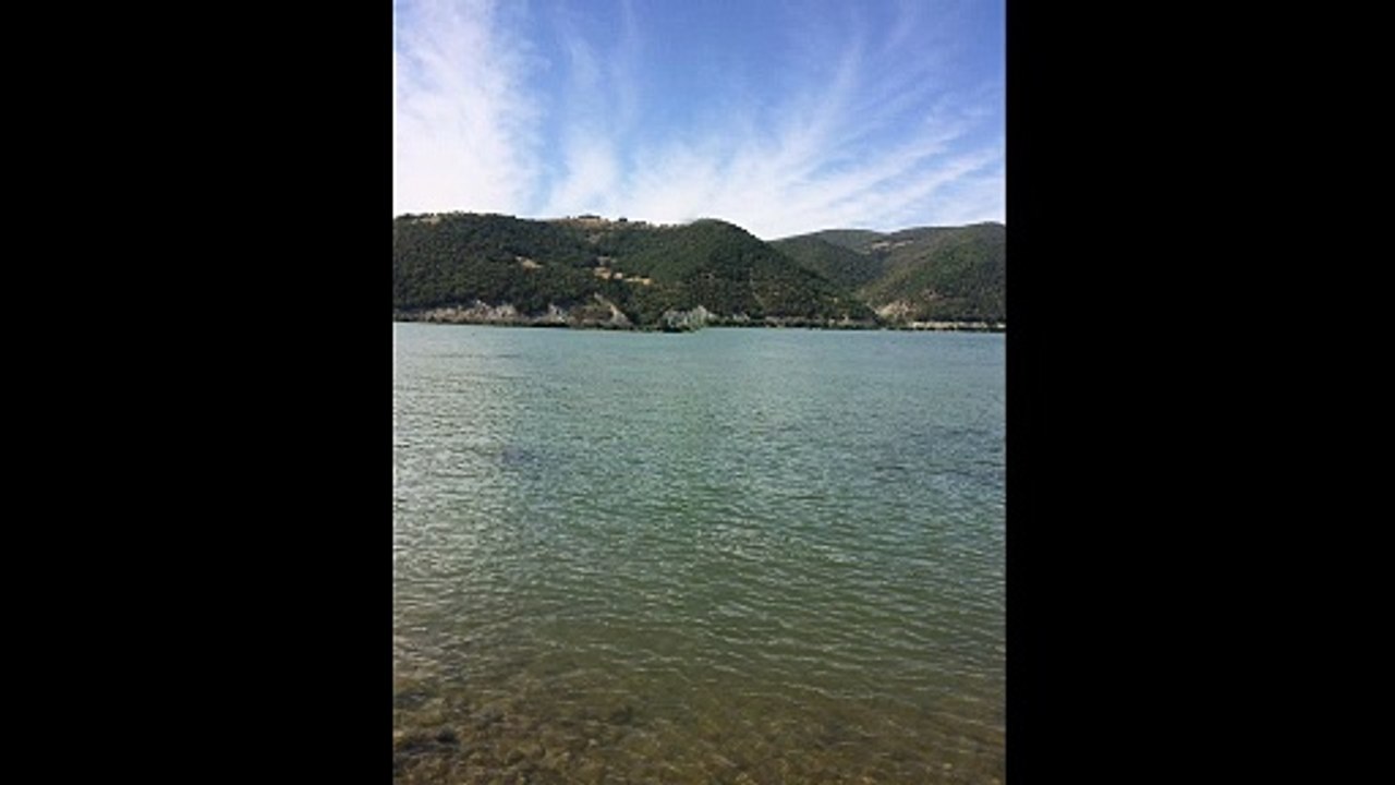 dunav 1