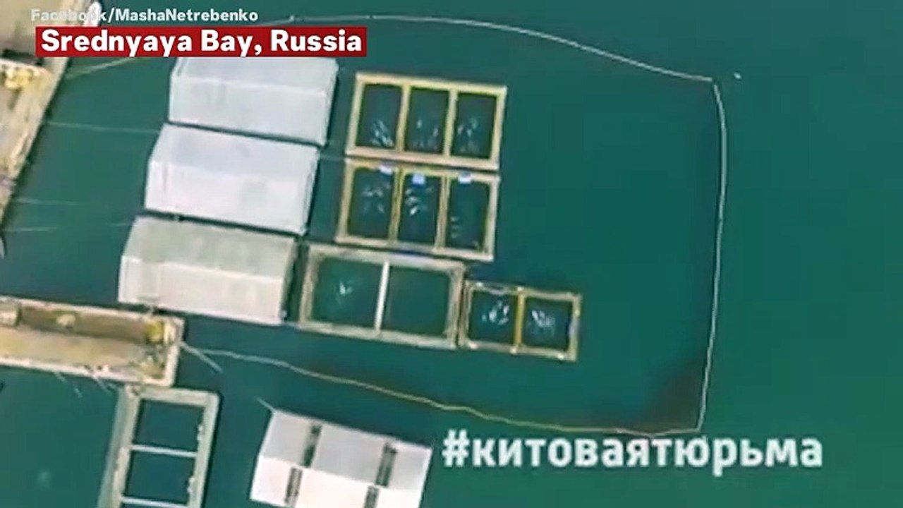 Drone Footage Shows 'Whale Jail' In Russia