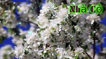 Audio đam mỹ: Nhiếp Chính Vương - Chương 62 - 65.