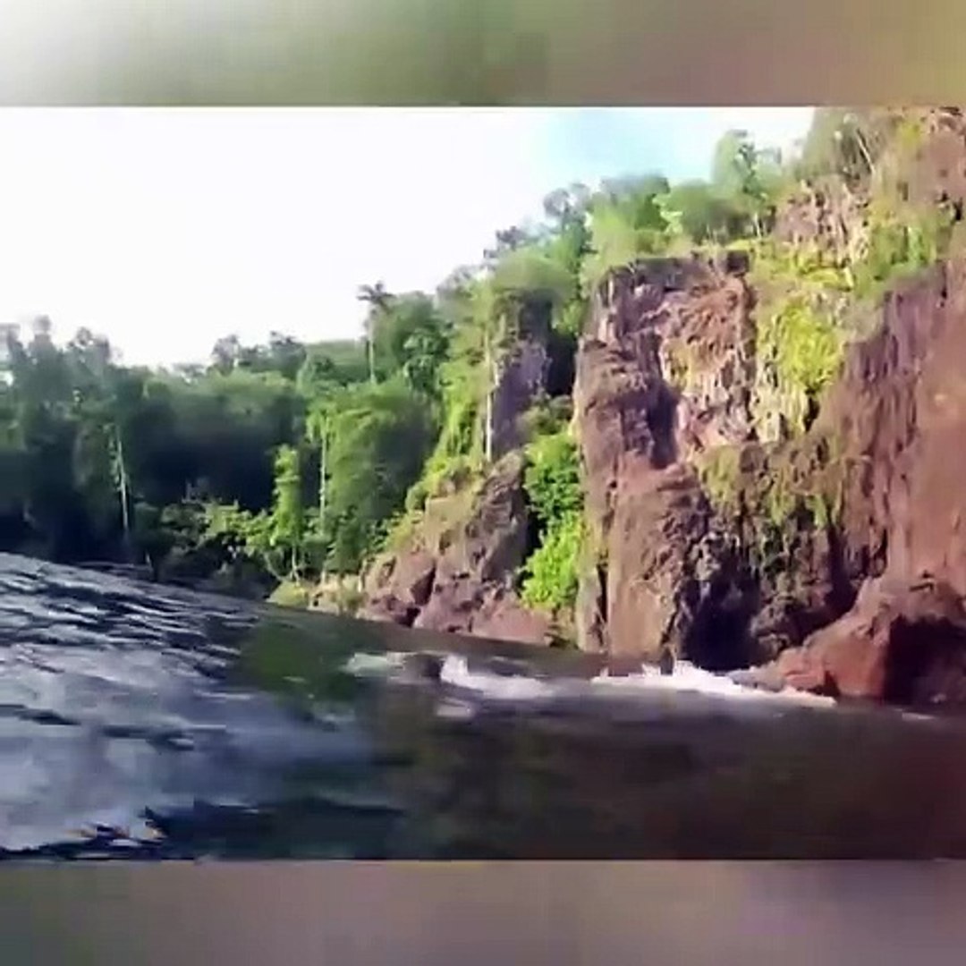 ⁣Animals Attacks Human Compilation by Earth Animal Planet
