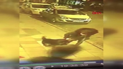 İzmir Rottweiler Cinsi Köpeğin Süs Köpeğine Saldırı Anı Güvenlik Kameralarına Yansıdı