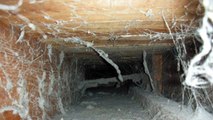 Pensacola Air Duct Cleaning  (850) 477-1151