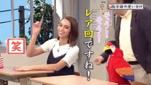 指示語の不思議【滝沢カレン】高校講座ベーシック国語での面白トーク_第２４回