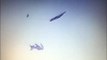Inde: Deux avions de l’armée se sont percutés lors de la répétition d’un spectacle aérien - Un pilote tué, quatre personnes blessés - VIDEO