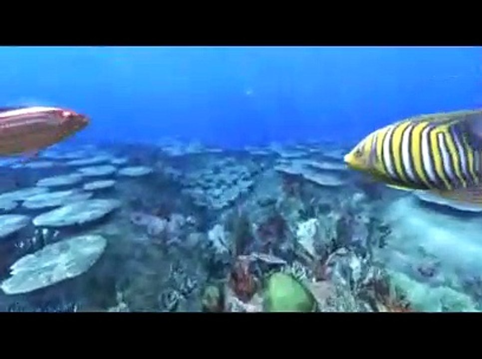 Aqua - TGS