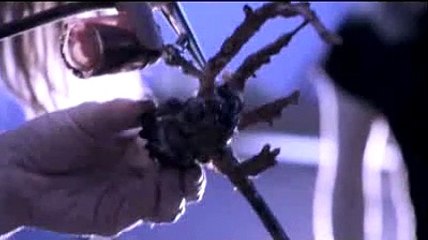 Halo 3 - Monumento John 117