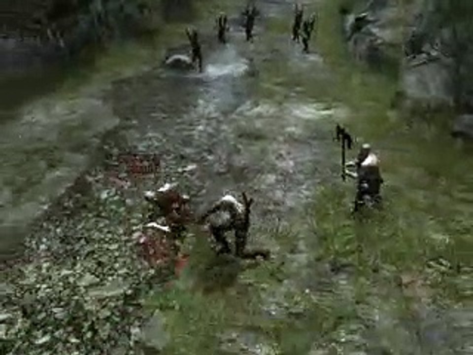 The Witcher PC