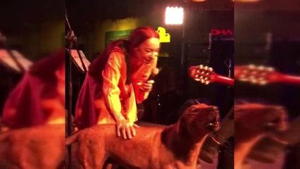 Muğla Leman Sam ile Düet Yapan Sokak Köpeği 'Mobilya' Yı Zehirlediler