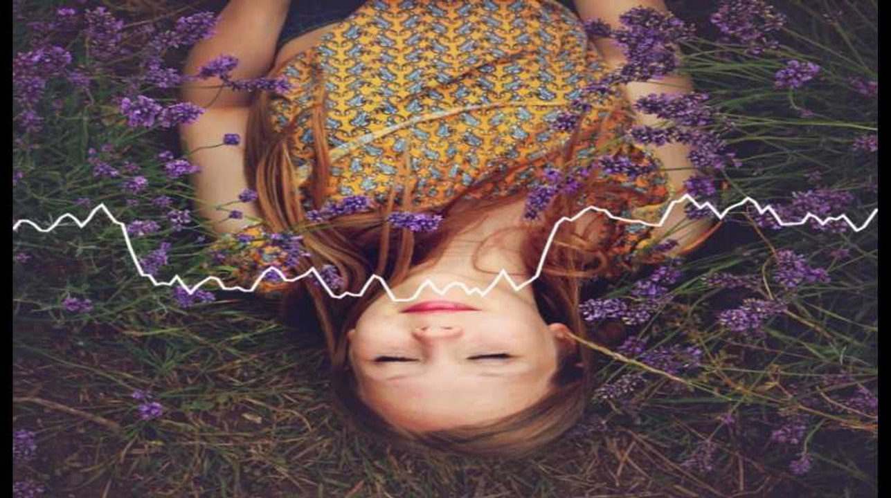 Minute Papillon! Flash info midi  - 20 février 2019