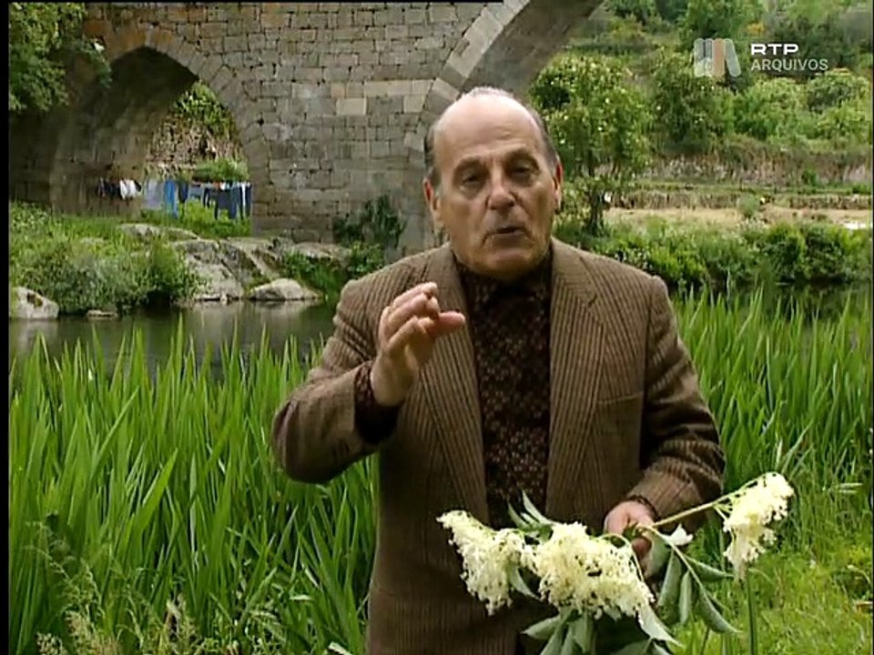 Histórias que o Tempo Apagou I #43, Nas Fontes da Memória, 14 Jul 1995