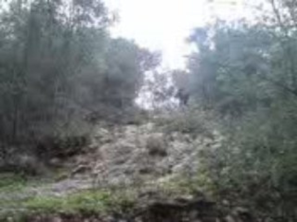 vtt : descente qui tue