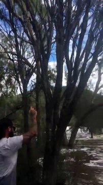 Il plante sa voiture dans la rivière.. et se prend un arbre !